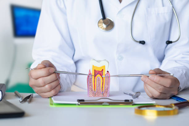 Best Emergency Dental Care for Broken or Chipped Teeth in Burton, OH